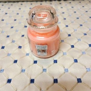 🆕️Yankee Candle Garden Picnic Small Jar